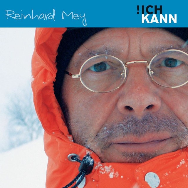 Reinhard Mey Wie Ein Baum Den Man Fällt