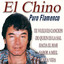 Puro Flamenco Albumcover