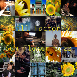 Chill Factor-5