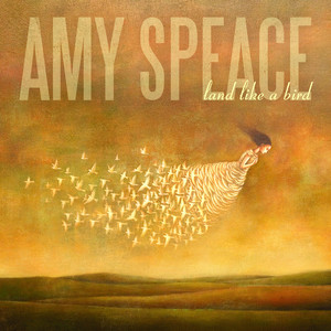 Land Like a Bird cover