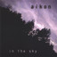 In The Sky Albumcover
