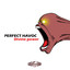 Divine Power Albumcover