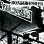Blvd. Of Broken Bones cover