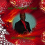 Jesus Is The Reason For The Season Albumcover