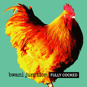 Bwani Junction Photo