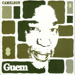 Caméléon cover