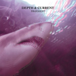 Transient Albumcover