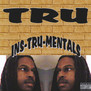 Ins-tru-mentals cover