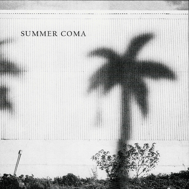SUMMER COMA Photo