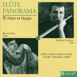 Flute Panorama : flute and harp Albumcover