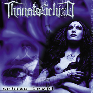 Schizo Level cover
