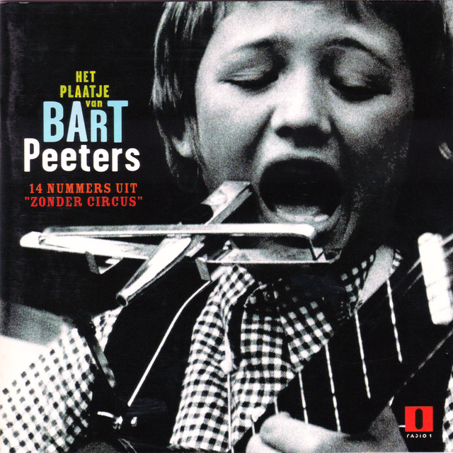 Het Plaatje Van Bart Peeters cover