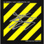 Synthetic Fury cover