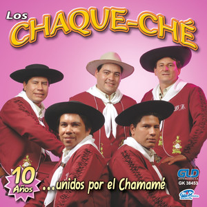 10 Años Unidos Por El Chamamé Albumcover