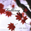 Falling Albumcover