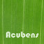 Acubens Albumcover