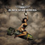 The Killer Instinct (Bonus Version) cover