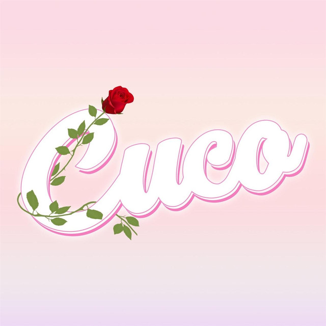 Songs4u cover