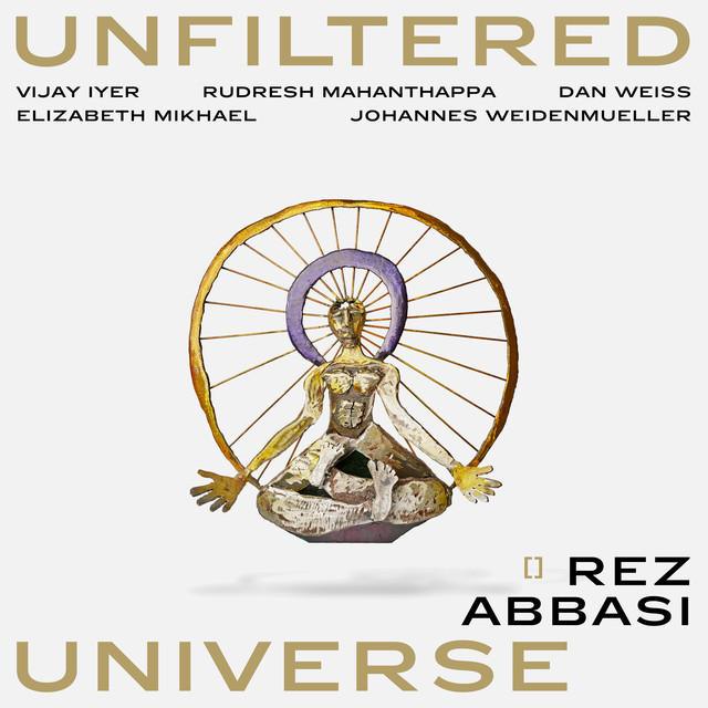 Rez Abbasi photo