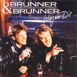 Wegen Dir cover