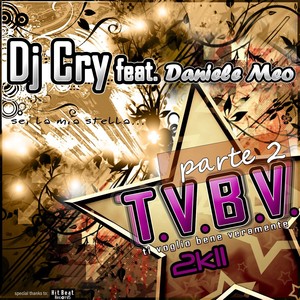 T.V.B.V. 2K11, vol. 2 Albumcover