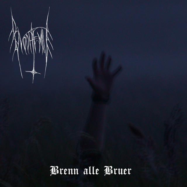 Brenn Alle Bruer cover
