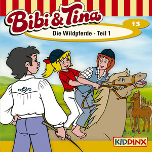Folge 13: Die Wildpferde - Teil 1 Audiobook