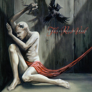 The Red Veil cover