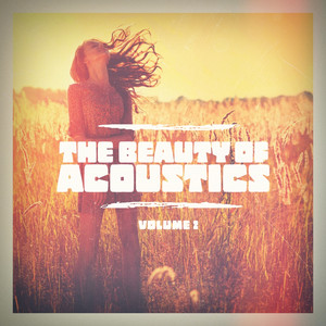 The Beauty of Acoustics, Vol. 2 album
