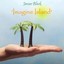 Imagine Island Albumcover