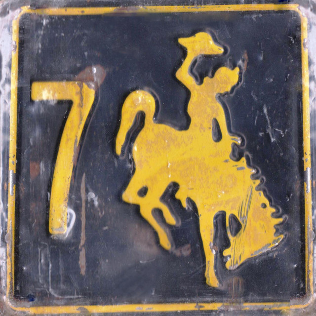 Let The 7horse Run cover