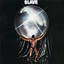 Slave cover