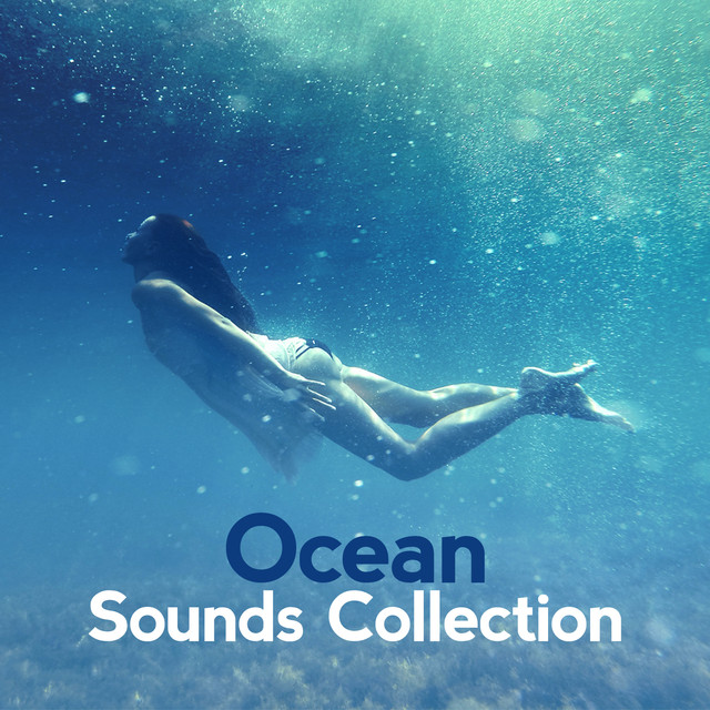 Ocean Sounds Collection Albumcover