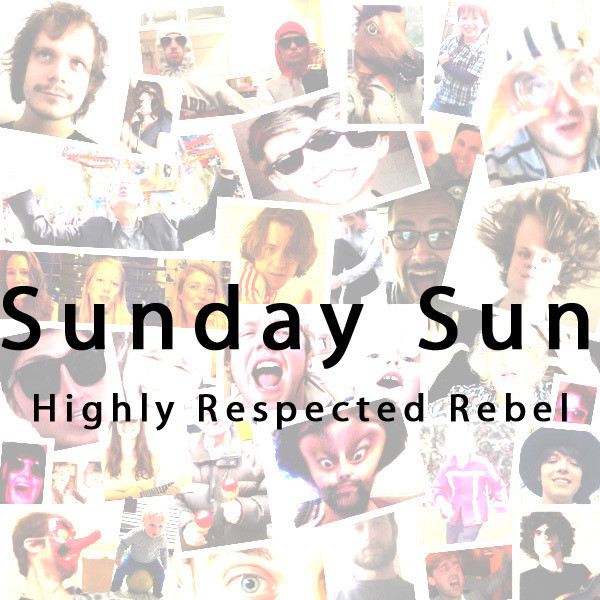 Highly Respected Rebel cover