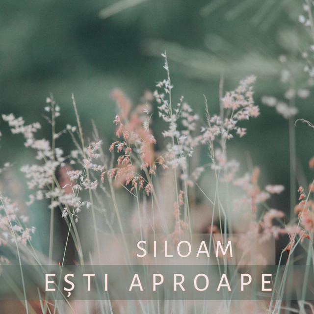 Siloam Photo