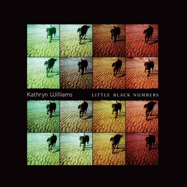Little Black Numbers cover
