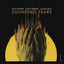 Sounding Tears cover