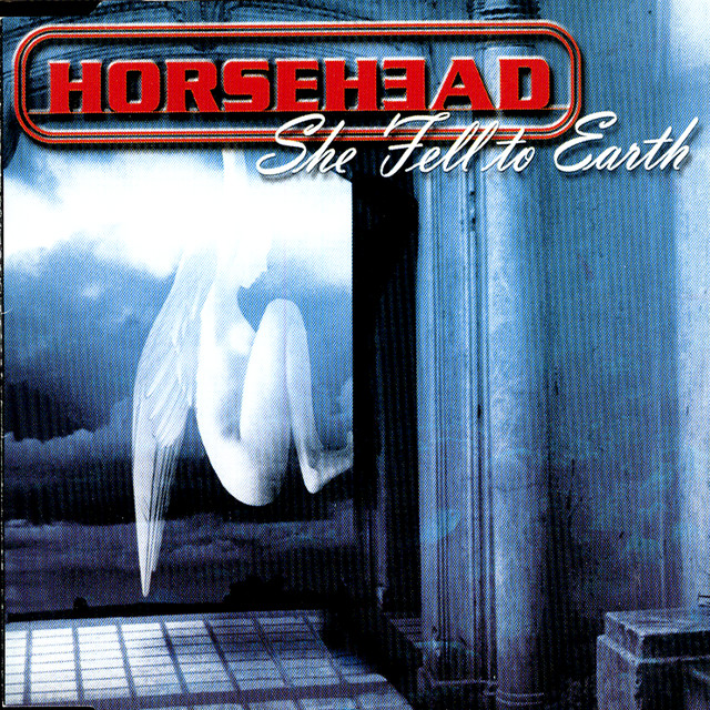 She Fell To Earth cover
