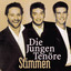 Stimmen Albumcover
