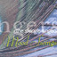 Mood Swings cover