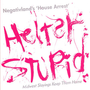 Helter Stupid cover