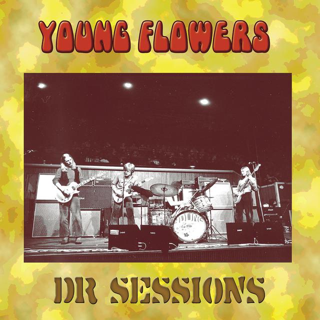 Young Flowers Dr Sessions cover