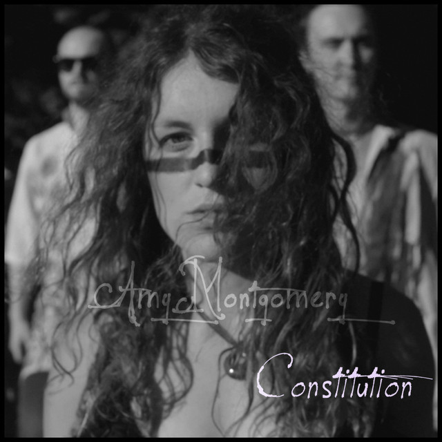 Constitution cover