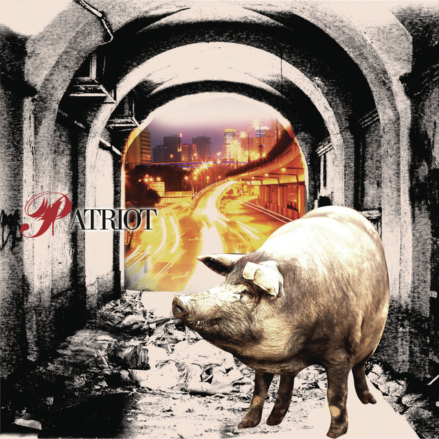 Patriot cover
