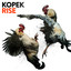 Rise cover