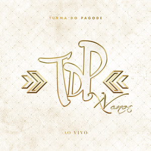 Turma do Pagode XV Anos (Ao Vivo) cover