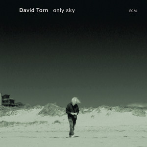 only sky cover