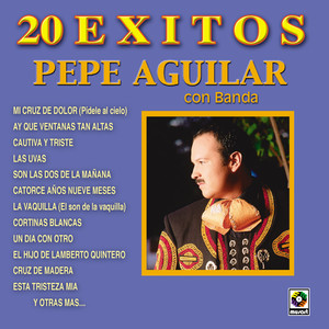 20 Exitos album