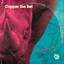 Copper The Bet