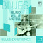 Blues Experience, Vol. 7 cover